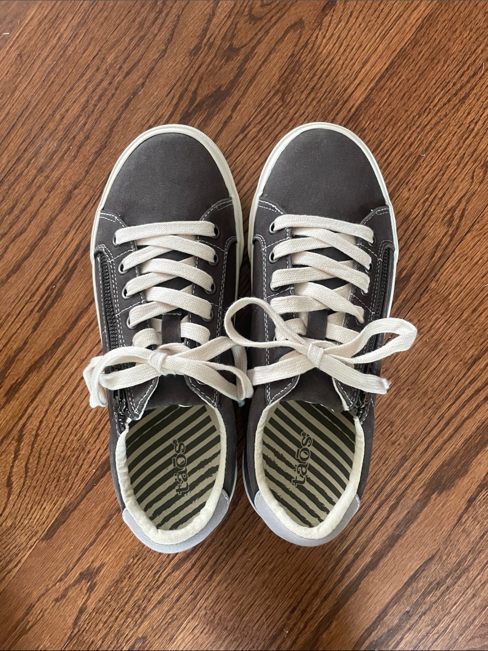 Womens Taos Z Soul Casual Canvas Sneakers in Dark Gray with White Laces